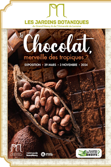 Du 29 mars au 3 novembre 2024 : Le Chocolat, merveille des tropiques ?
