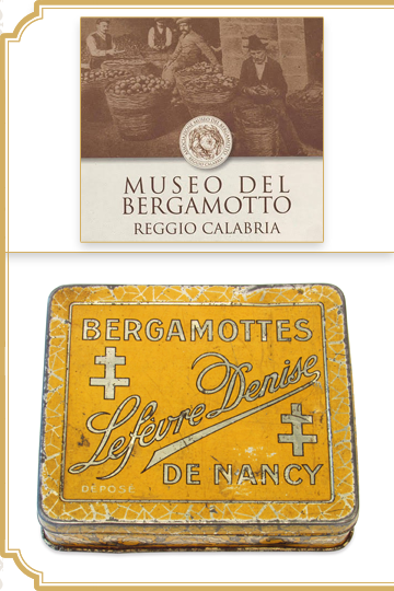 Février 2026 : Les Bergamottes de Nancy Lefèvre-Denise, Lefèvre Georges et Lefèvre-Lemoine au Museo del Bergamotto de Reggio, Calabre, Italie